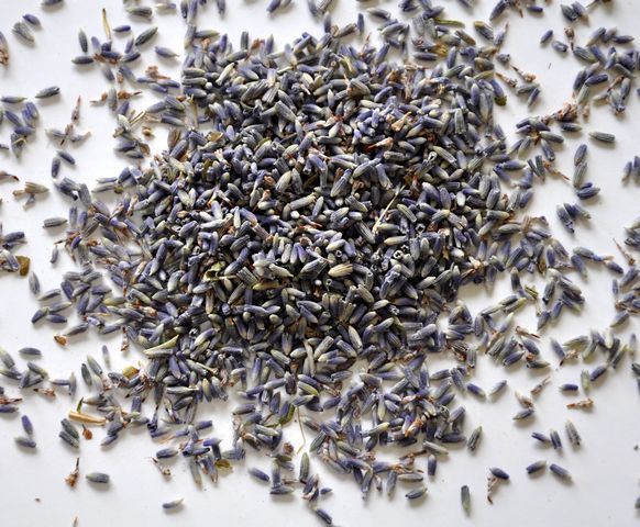 Lavender Flowers